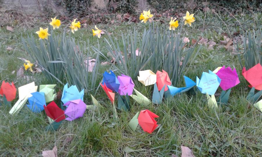 Frühlingsblumen Frühlingsblumen